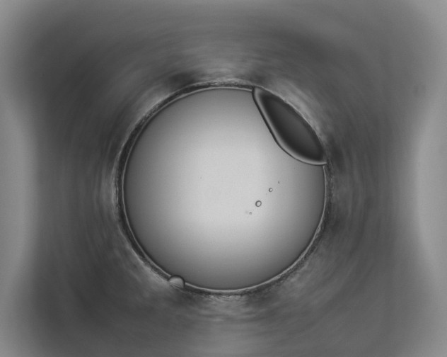 X0000112831285200909041455