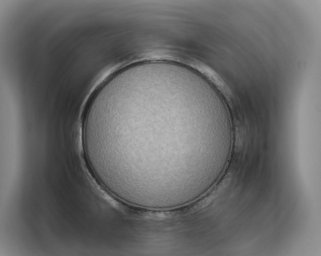 X0000112831286200909041455