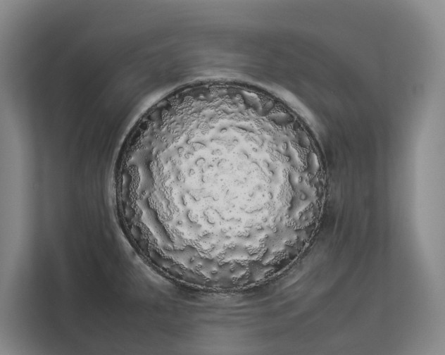 X0000112831287200909041455