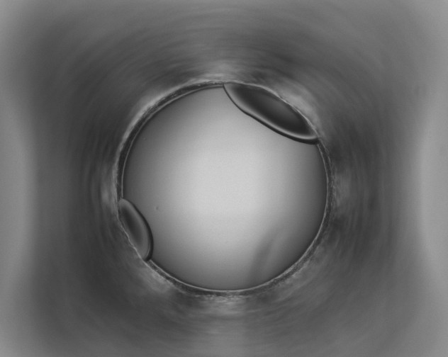 X0000112831288200909041455