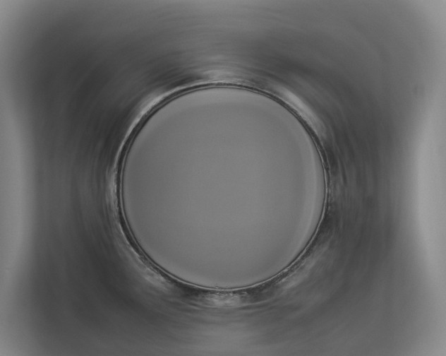 X0000112831291200909041455