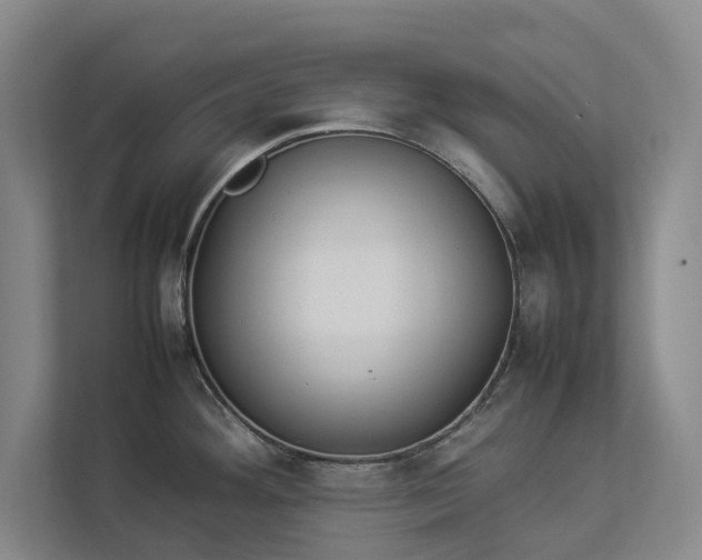 X0000112831292200909041455