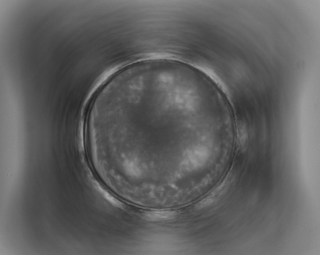 X0000112831294200909041455