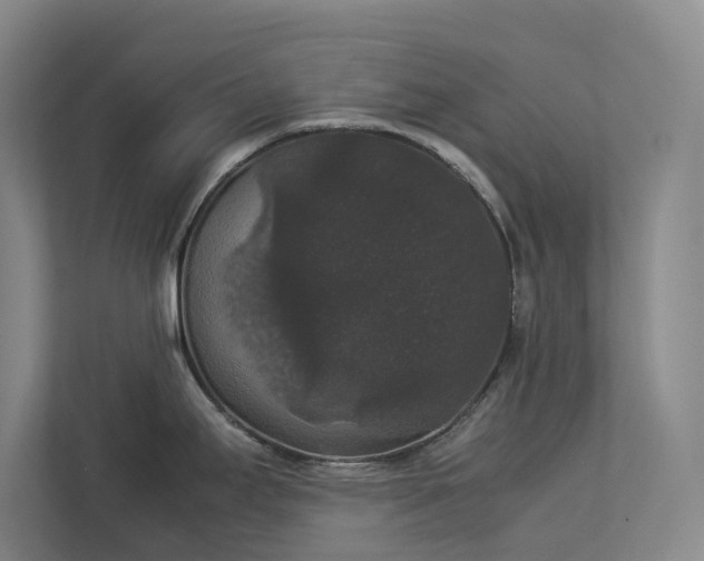 X0000112831295200909041455