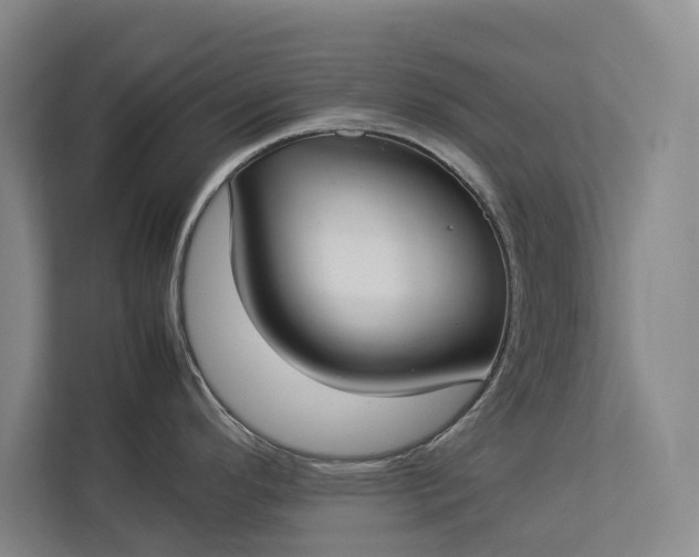 X0000112831296200909041455