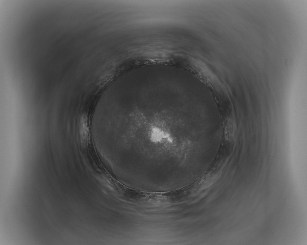 X0000112831298200909041454