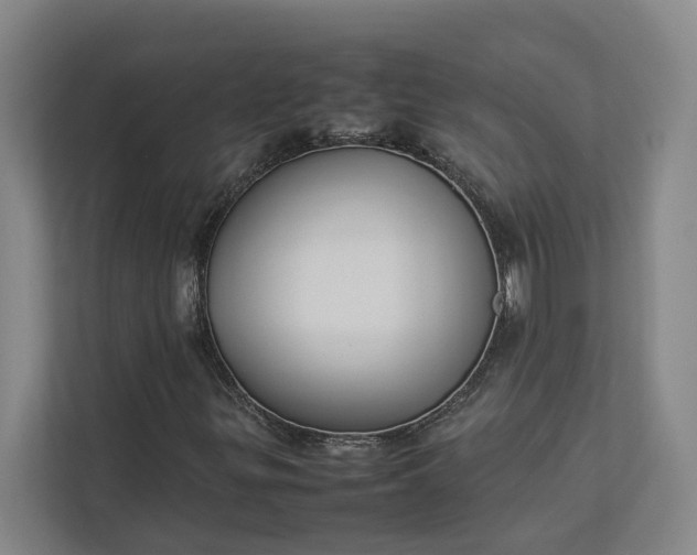 X0000112831299200909041454