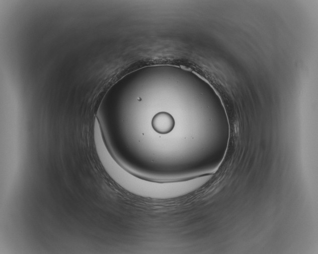 X0000112831300200909041454