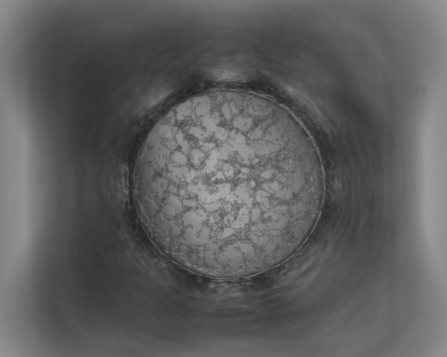 X0000112831301200909041454