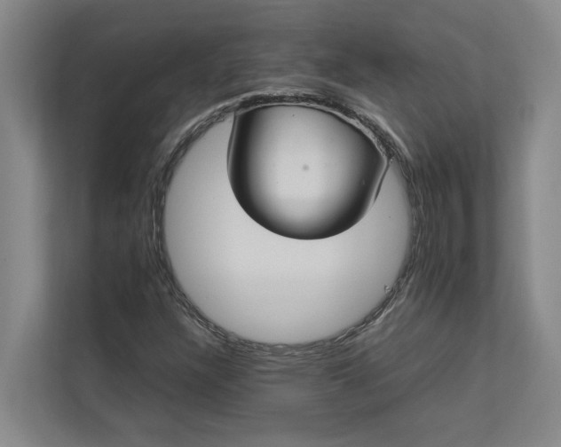 X0000112831304200909041454