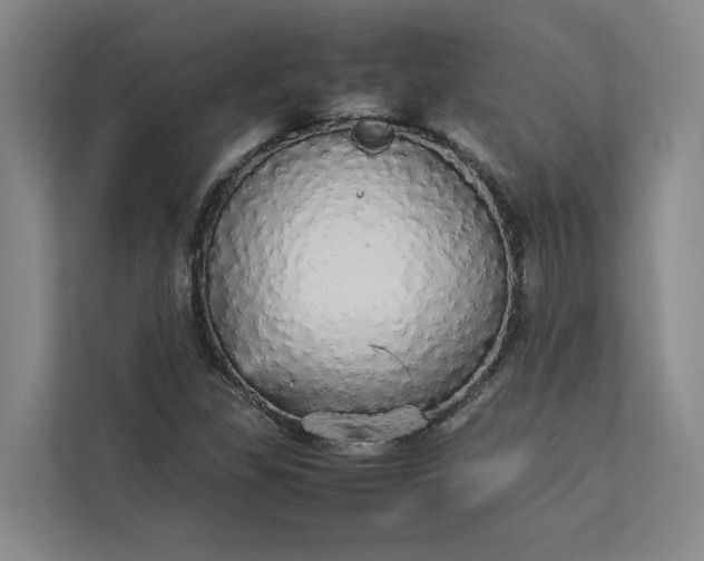 X0000112831309200909041454