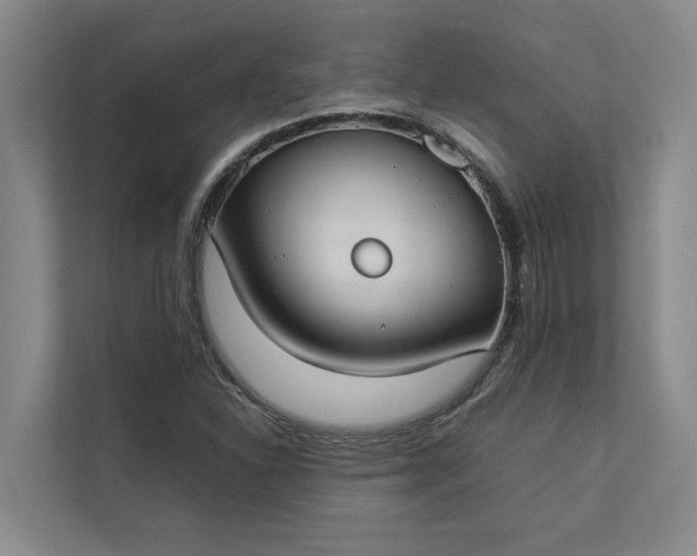 X0000112831310200909041455