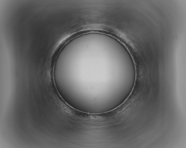 X0000112831312200909041455