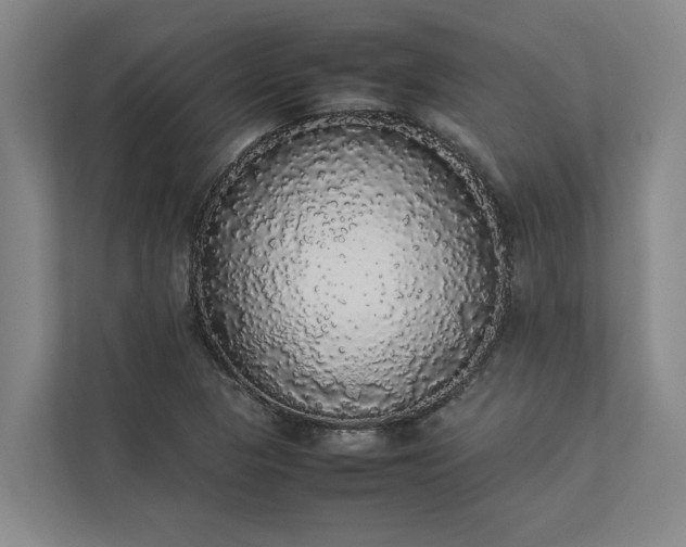 X0000112831313200909041455