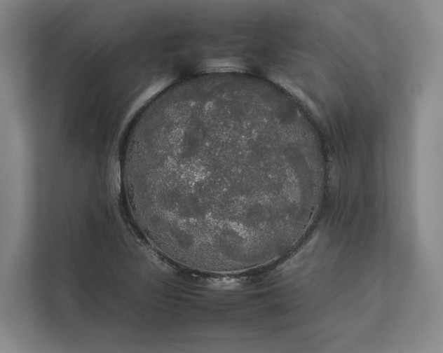 X0000112831317200909041455