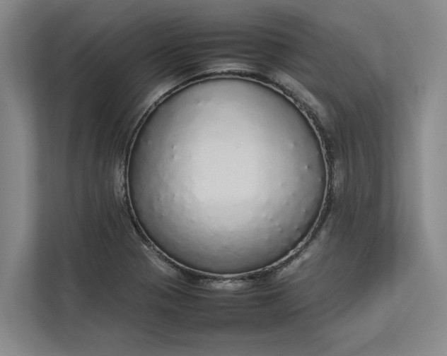 X0000112831321200909041455