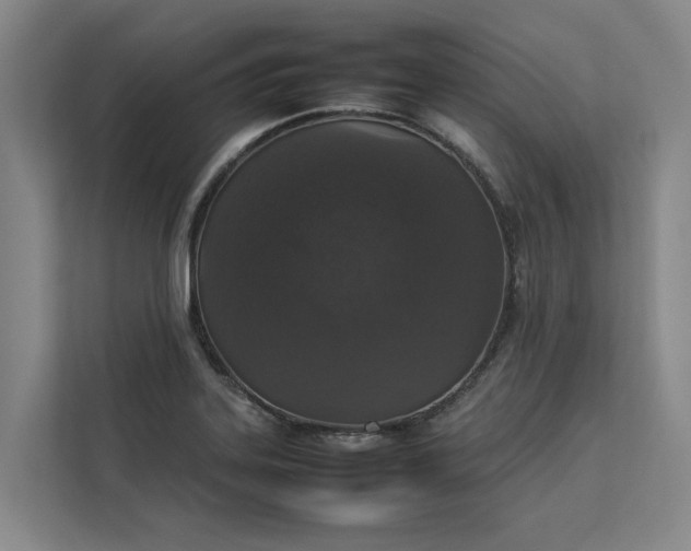 X0000112831323200909041455