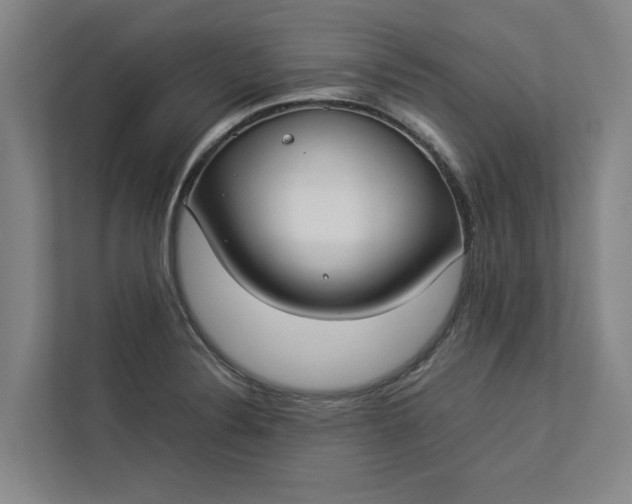 X0000112831324200909041455