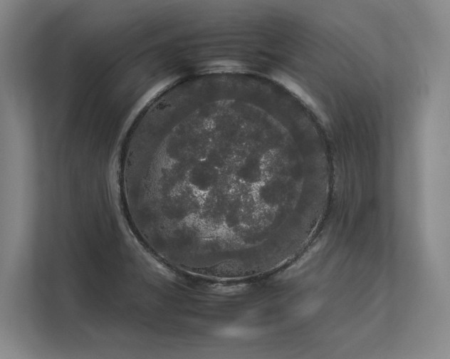 X0000112831325200909041455