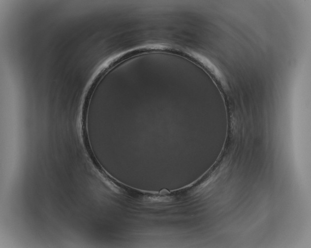 X0000112831327200909041455