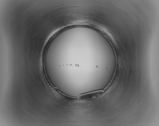 X0000112831328200909041455