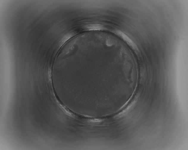 X0000112831329200909041455