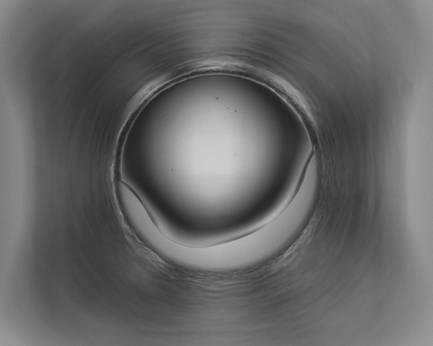 X0000112831330200909041455