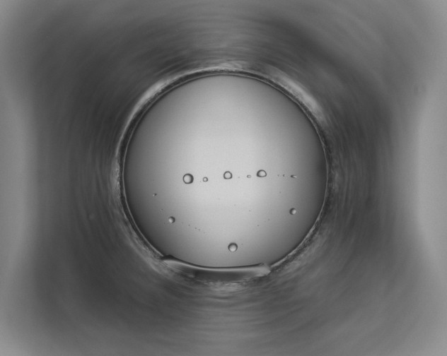 X0000112831332200909041455