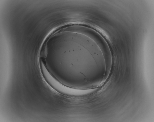 X0000112831334200909041455