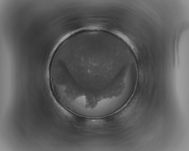 X0000112831335200909041455