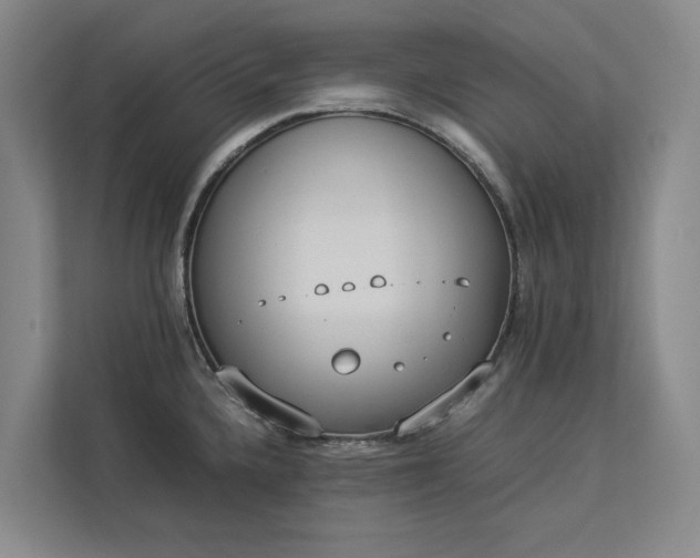 X0000112831336200909041455