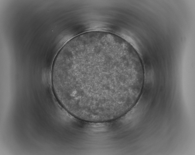 X0000112831338200909041455