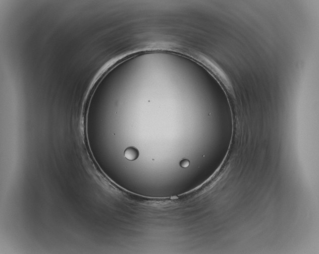 X0000112831340200909041455