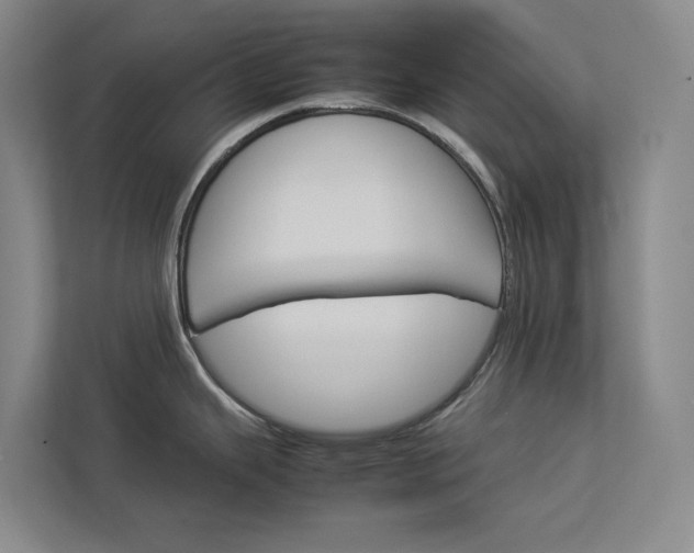 X0000112831343200909041455