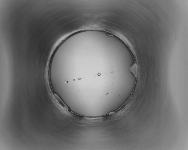 X0000112831344200909041455