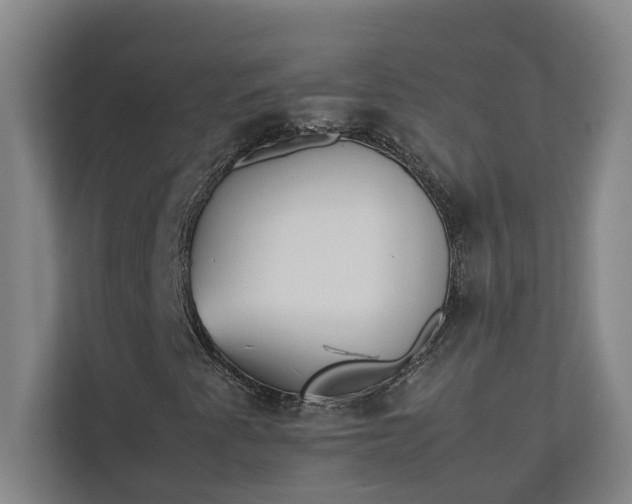 X0000112831345200909041454