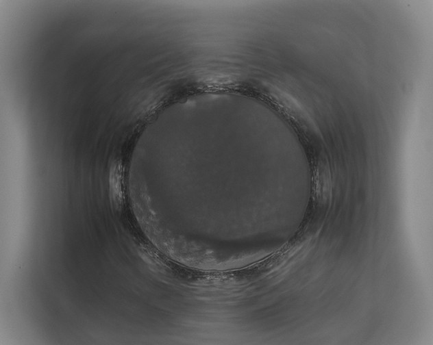 X0000112831346200909041454