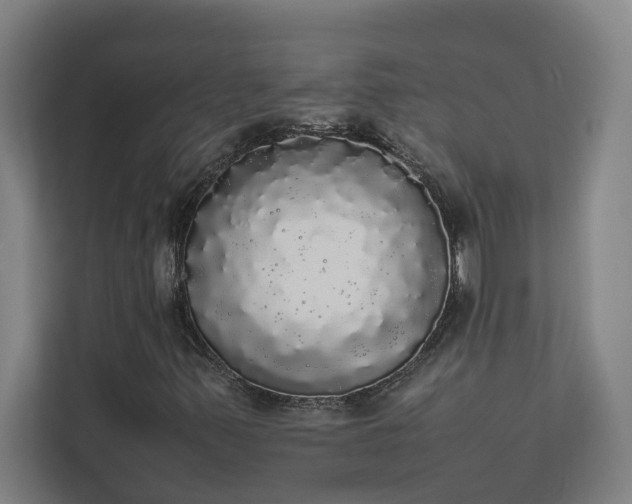 X0000112831347200909041454