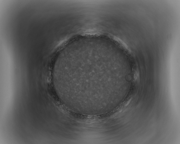 X0000112831350200909041454