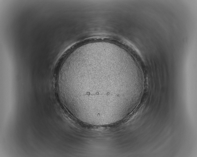 X0000112831352200909041454