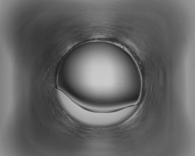 X0000112831353200909041454