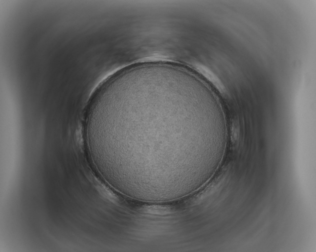 X0000112831356200909041454