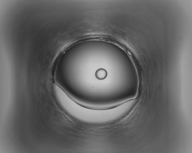 X0000112831357200909041454