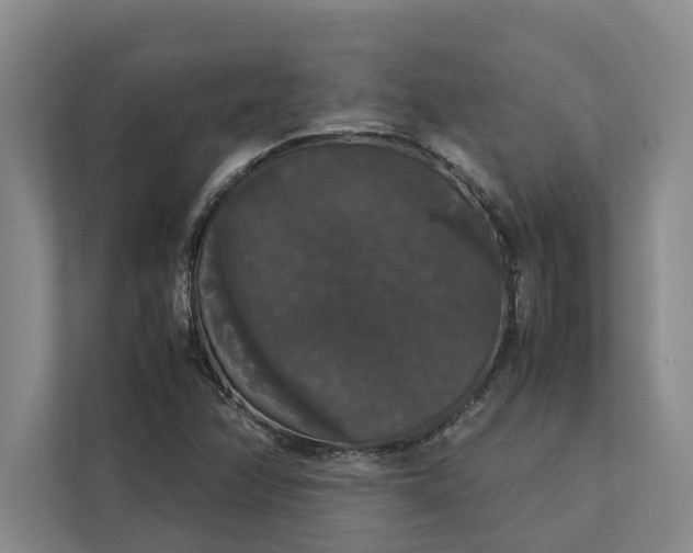 X0000112831358200909041454