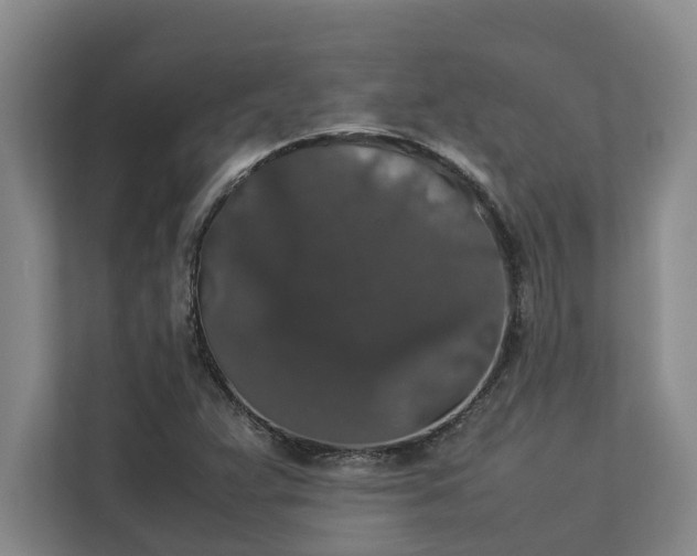 X0000112831359200909041454