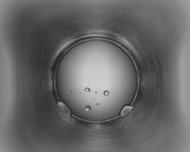 X0000112831360200909041454