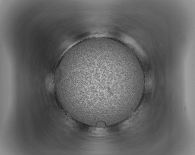 X0000112831361200909041454