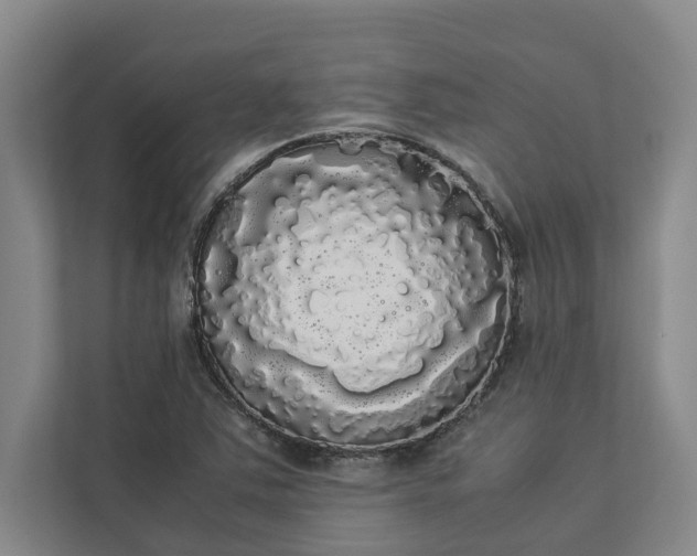 X0000112831363200909041454