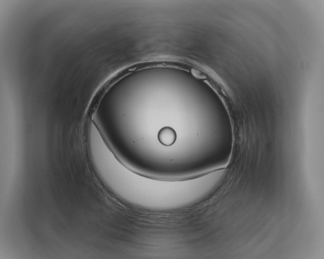 X0000112831364200909041454