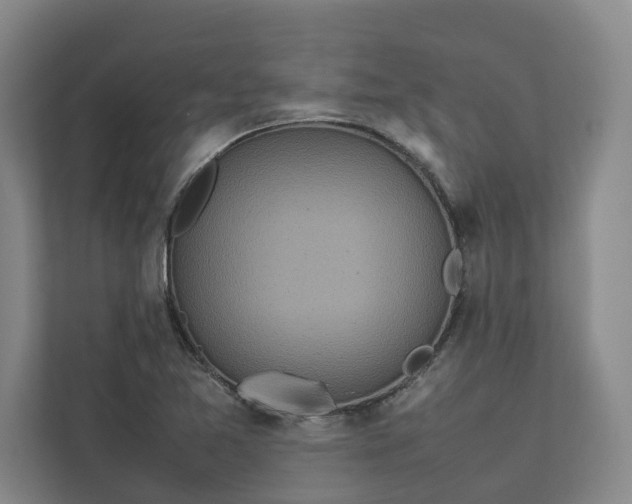 X0000112831365200909041454